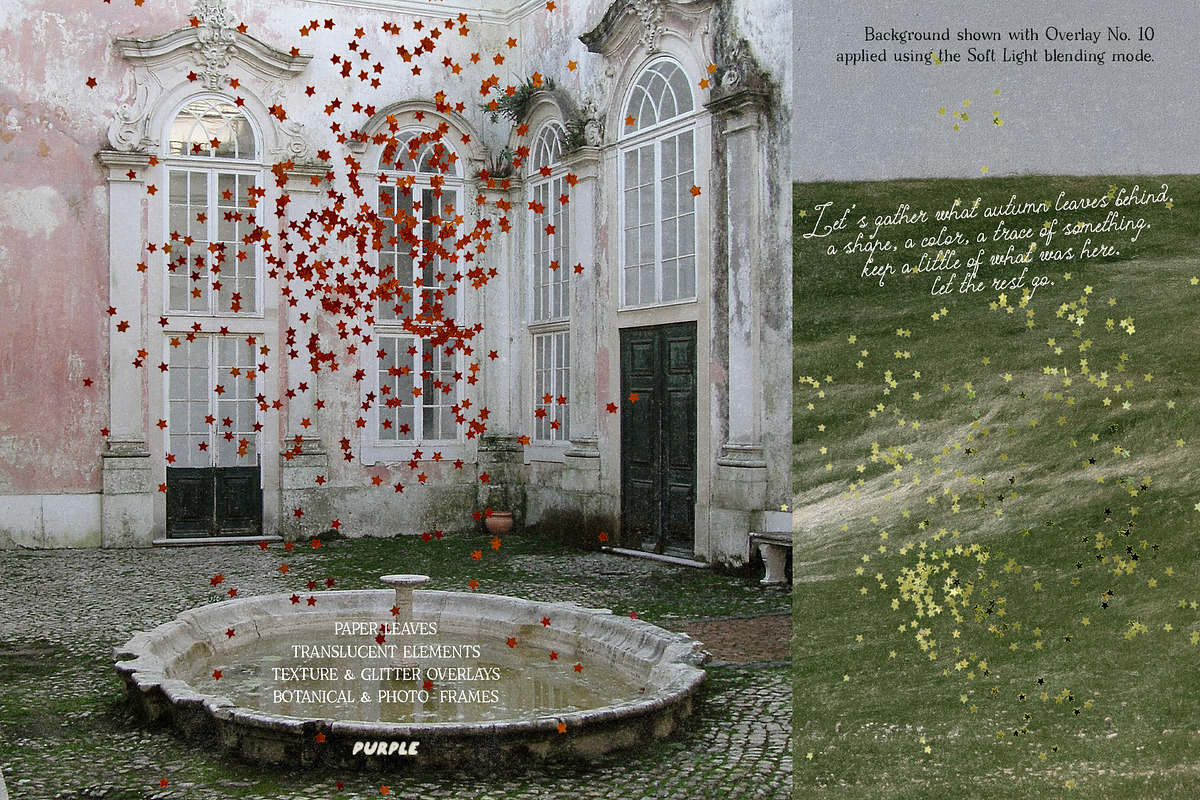 Fallen & Gathered Paper Collage, an Object Graphic by Purple (Photo 9 of 13)