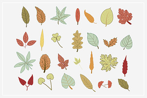 Autumn Leaf Vectors