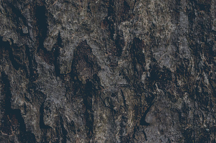 Wood texture stock photo containing wood and texture preview 6
