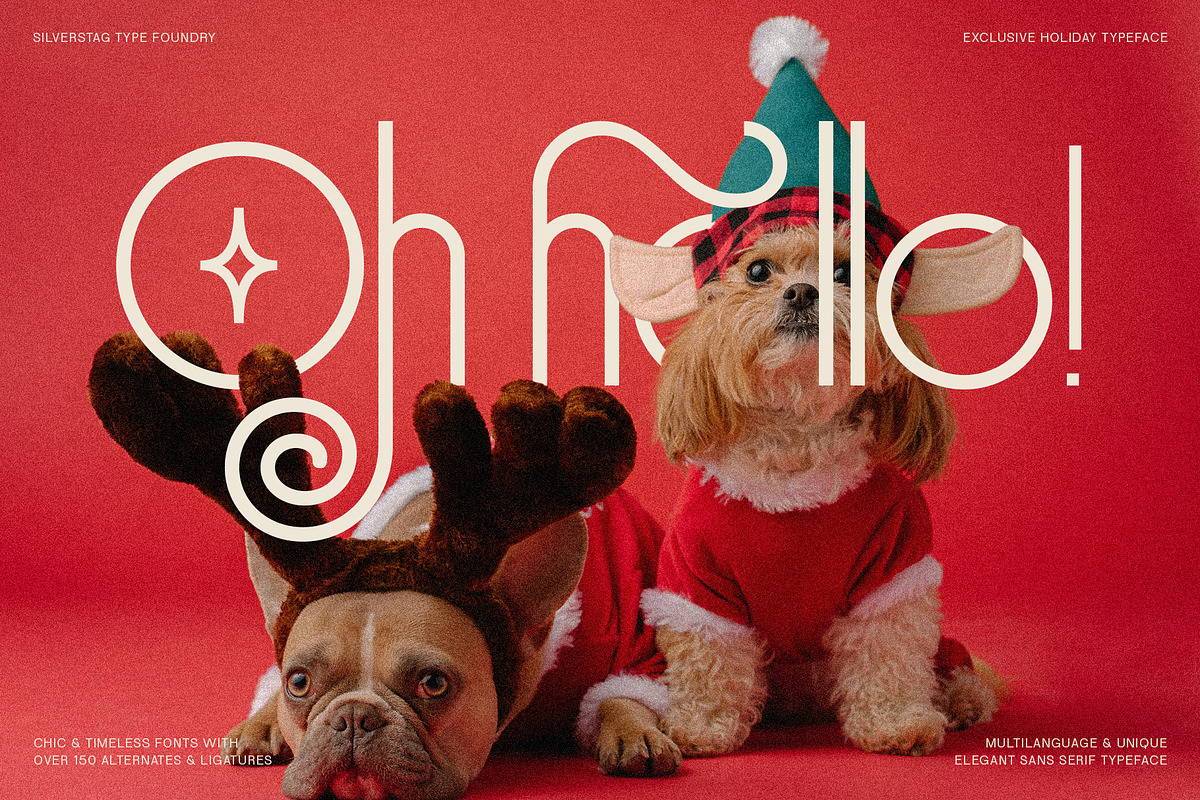 SLTF Holiday Whispers Typeface, a Sans Serif Font by SilverStag Type Foundry (Photo 8 of 20)