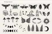 Mystical Forest Whispers, a Decorative Illustration by Jenny Quince (Thumbnail 7 of 9)