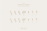 Hand and Flower Logo Elements, an Illustration by Studio Edyth (Thumbnail 2 of 4)