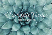 Frideswide Script, a Script Font by Asya Mix (Thumbnail 6 of 13)