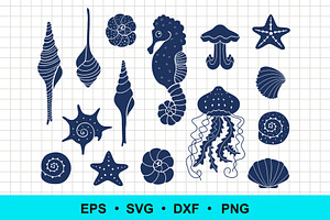 Seashells and Sea Creatures Clip Art