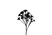 Meadow Flower Silhouette Vector, an Illustration by Designs_River (Thumbnail 2 of 9)