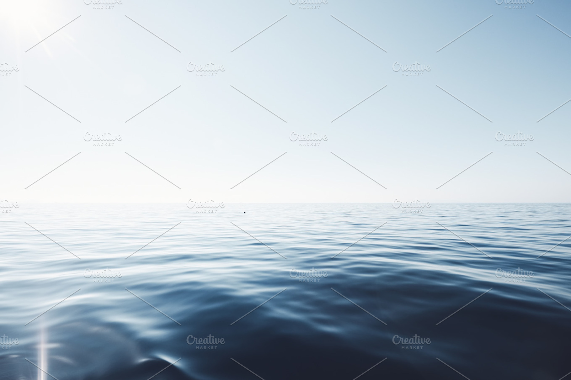 Dolphin in peaceful sea, a Nature Photo by Sergey Furtaev