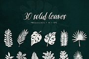 BOTANY BUNDLE - 6in1, a Food Illustration by amber&ink (Thumbnail 15 of 19)