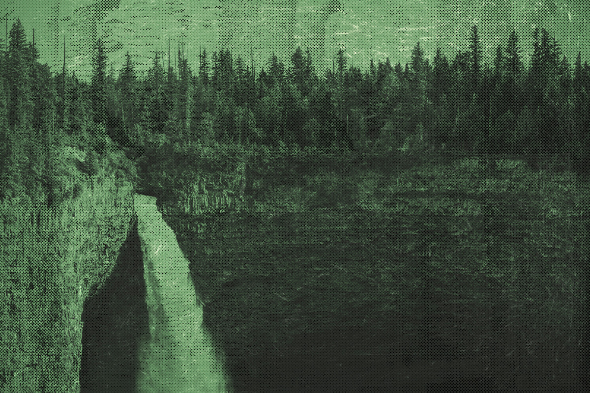 The Forest - 25 Gradients, a Gradient Add-On by Gromov Design (Photo 4 of 5)