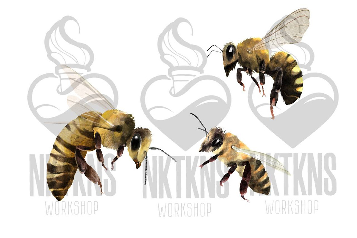 Watercolor Clipart Bee Art BumbleBee, an Animal Illustration by NKTKNS (Photo 3 of 6)