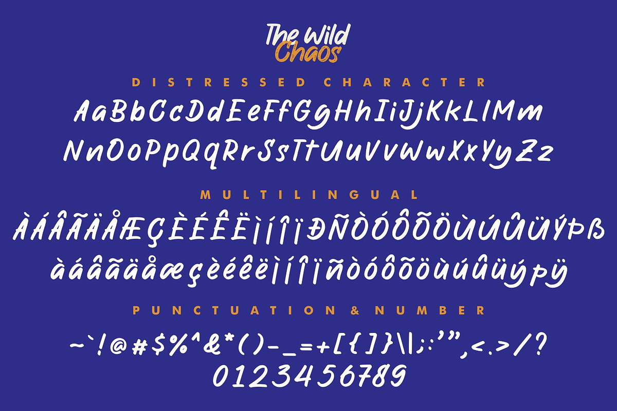 The Wild Chaos Font, a Script Font by Allouse Studio (Photo 13 of 16)