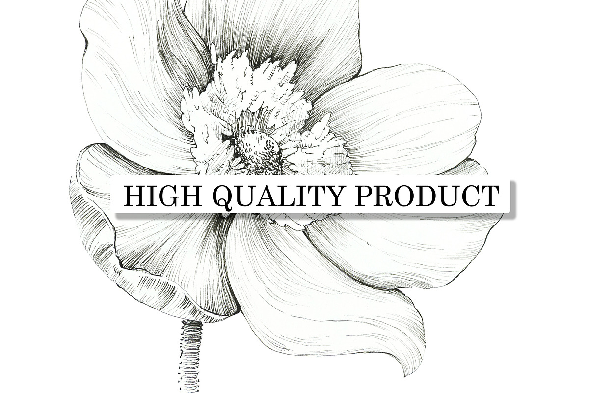 Flowers Graphics, an Object Illustration by Budogoshch (Photo 5 of 8)