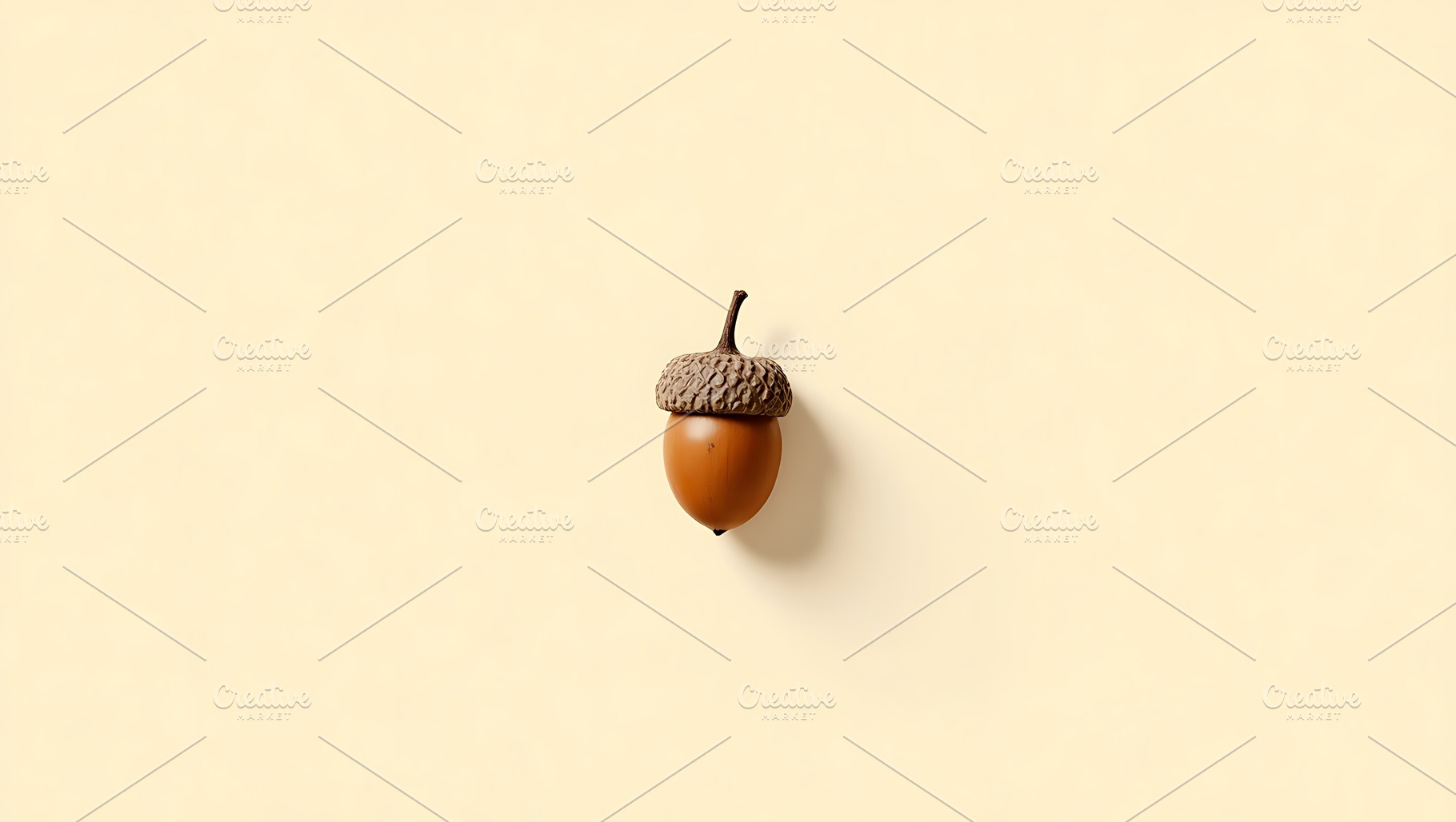 Single acorn with cap on a light yel, a Food & Drink Photo by Artonix
