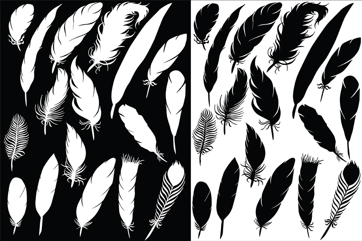 Vector feathers, an Illustration by risovanya (Photo 4 of 4)