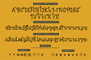 Sale! Midnight Story Font Family, a Serif Font by theinkaffair (Thumbnail 7 of 8)
