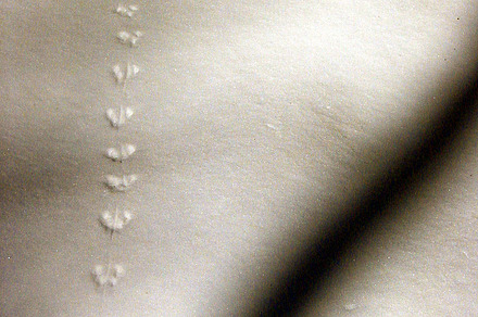 Traces