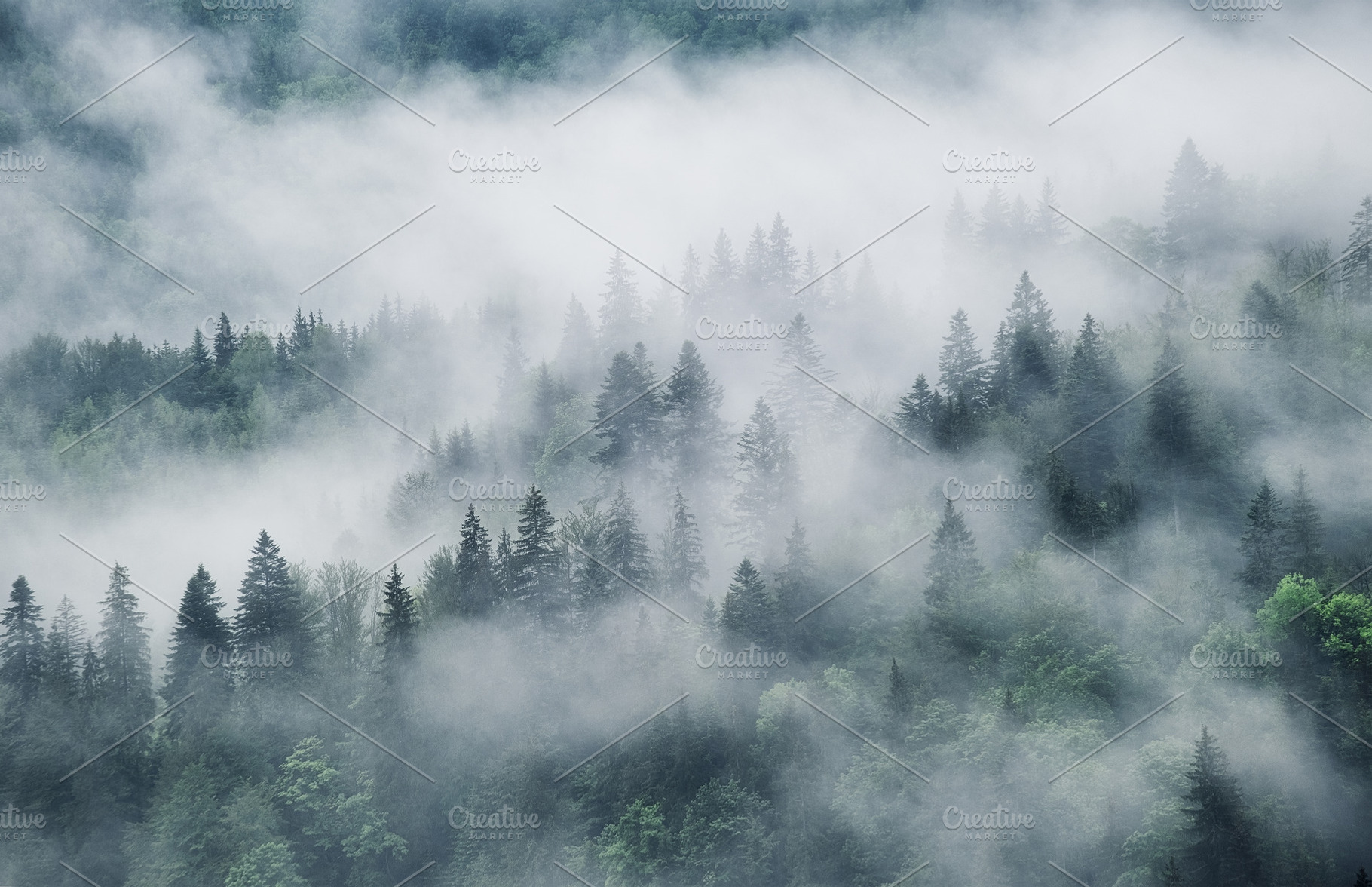 Foggy forest containing landscape, mountain, and fog, a Nature Photo by  Landscape and travel, image size:1820x1176