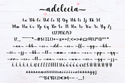 Adelecia, a Script Font by DN Creative (Thumbnail 6 of 7)