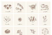Autumn botanical sketches, a Decorative Illustration by Aquatinta (Thumbnail 2 of 8)