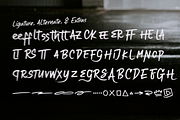 Grand Morisey | Brush Handwritten, a Handwritten Font by gracetype_studio (Thumbnail 14 of 15)