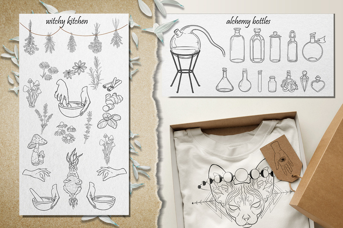 MAGIC collection - Vector ClipArt, an Animal Illustration by Evgenia Pichkur (Photo 5 of 12)