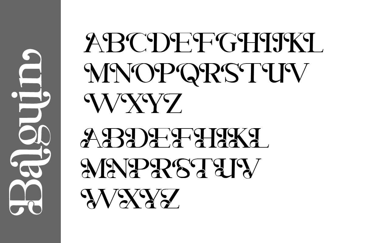 Balguin, a Serif Font by Muksal Creative (Photo 8 of 9)