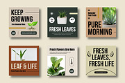 Natural Green Botanical Social Media, a Social Media Template by MightyDesign (Thumbnail 2 of 8)