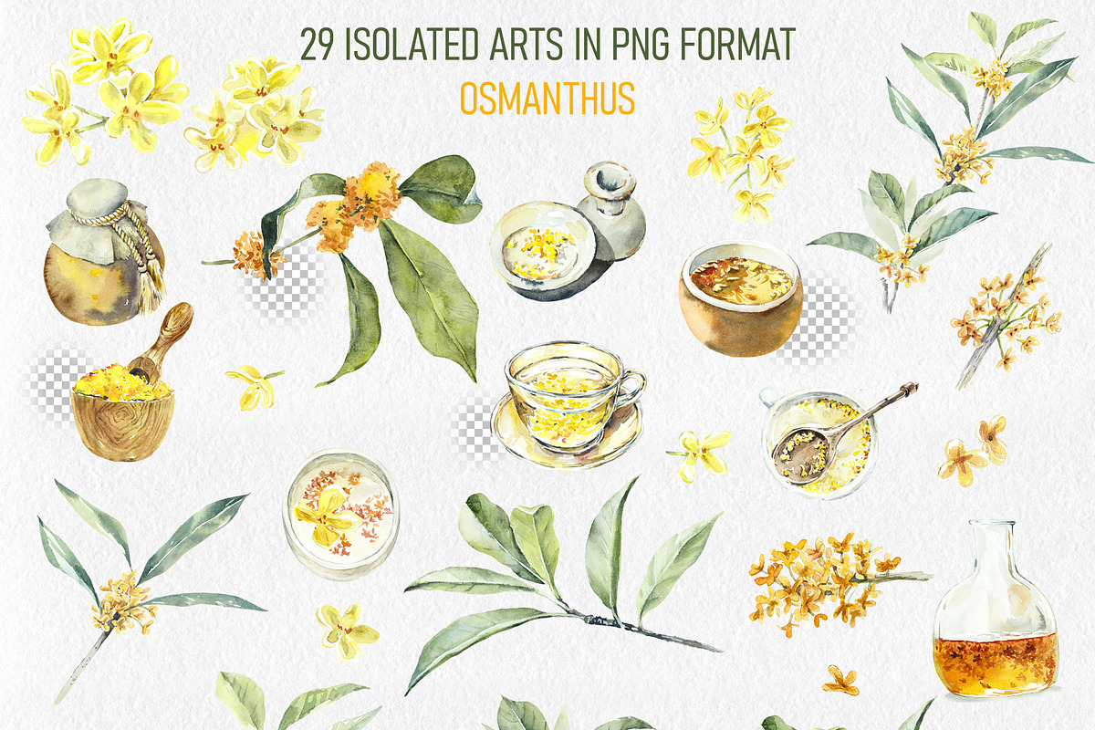 Golden Osmanthus Health Tea, a Food Illustration by Budogoshch (Photo 2 of 8)