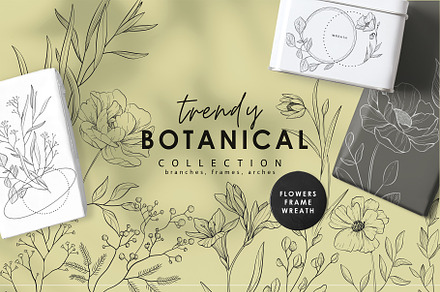 Trendy Botanical collection, a Decorative Illustration by Merfin