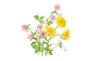 Vector object brushes. Clover, a Brush Add-On by Peolla (Thumbnail 14 of 14)