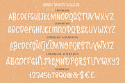 Bondy Mondy, a Font by Larin Type Co. (Thumbnail 6 of 7)