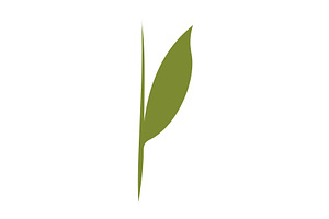 Simple green plant stem growing, an Object Illustration by okskukuruza