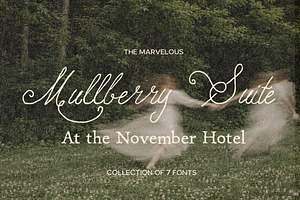 Handwritten Elegant Serif & Script