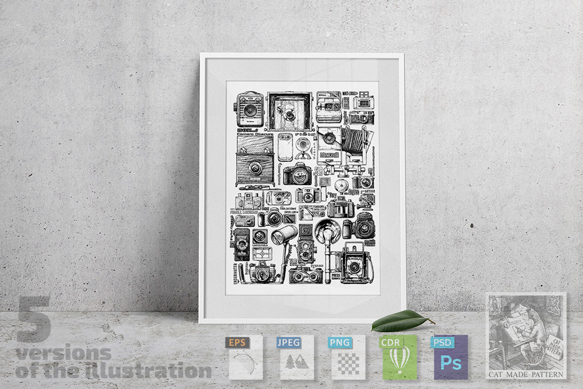 Types of photo cameras, an Education Illustration by CatMadePattern (Photo 1 of 8)