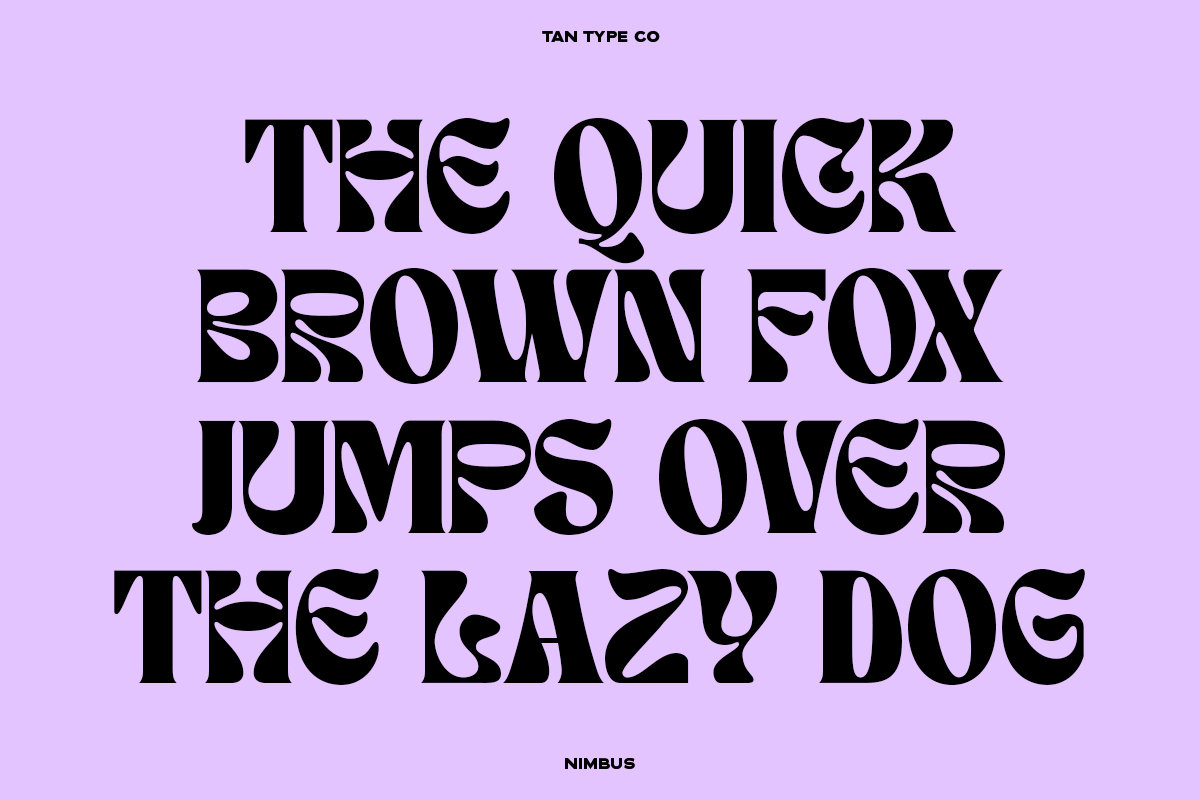 TAN - NIMBUS, a Font by TanType (Photo 8 of 20)