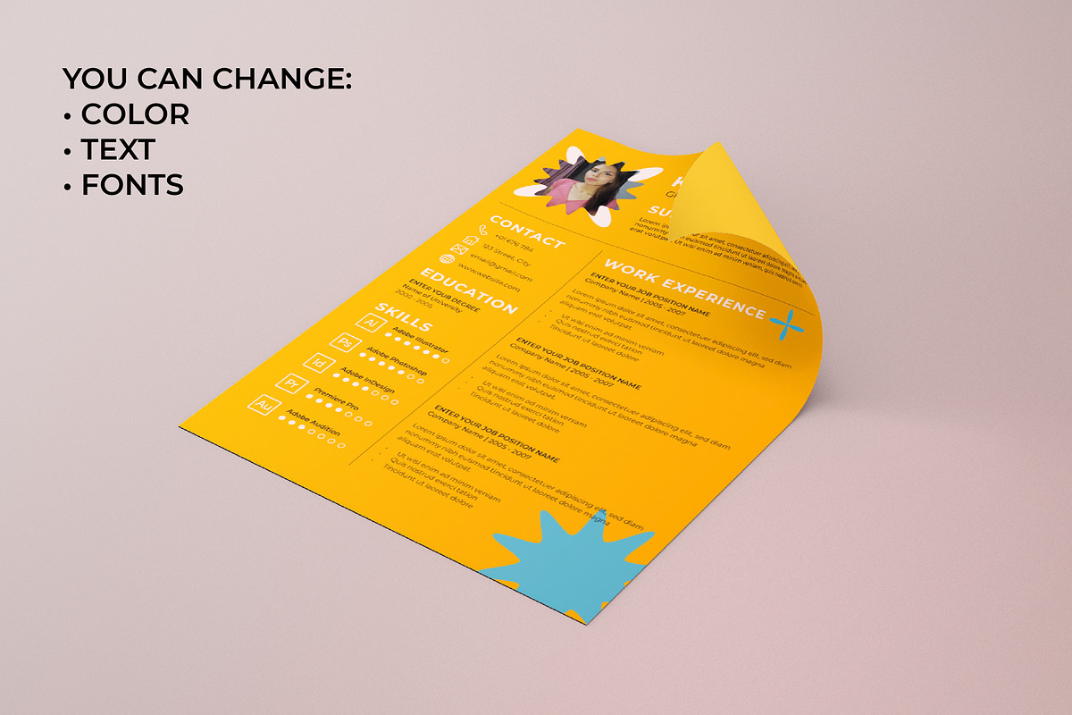 Professional CV, Resume Template, a Presentation Template by Abstracto-Create (Photo 2 of 3)