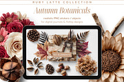 Autumn Botanicals PNG Objects, an Object Graphic by Iconogenic (Thumbnail 1 of 5)