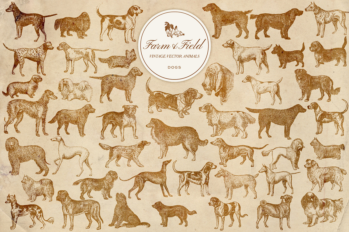 Vintage Farm Animal Vector Graphics, an Object Graphic by Eclectic Anthology (Photo 4 of 9)
