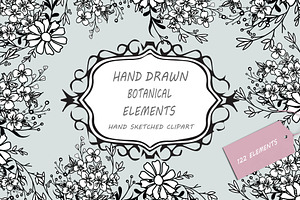 Hand Drawn Botanical Elements