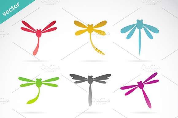 Vector Group Of Colorful Dragonfly