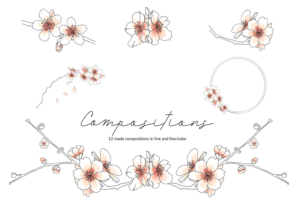 Almond Blossom, an Illustration by R.DesignStudio (Photo 7 of 11)
