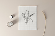 Autumn Botanicals Line Art Clipart, a Decorative Illustration by La Petite Line Art (Thumbnail 5 of 14)