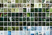 Cool nature | 325 stock photos, a Background Photo by Tale.Haus (Thumbnail 15 of 19)