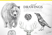 Scandinavian Shaman's Dream, an Animal Illustration by Bibela (Thumbnail 2 of 10)