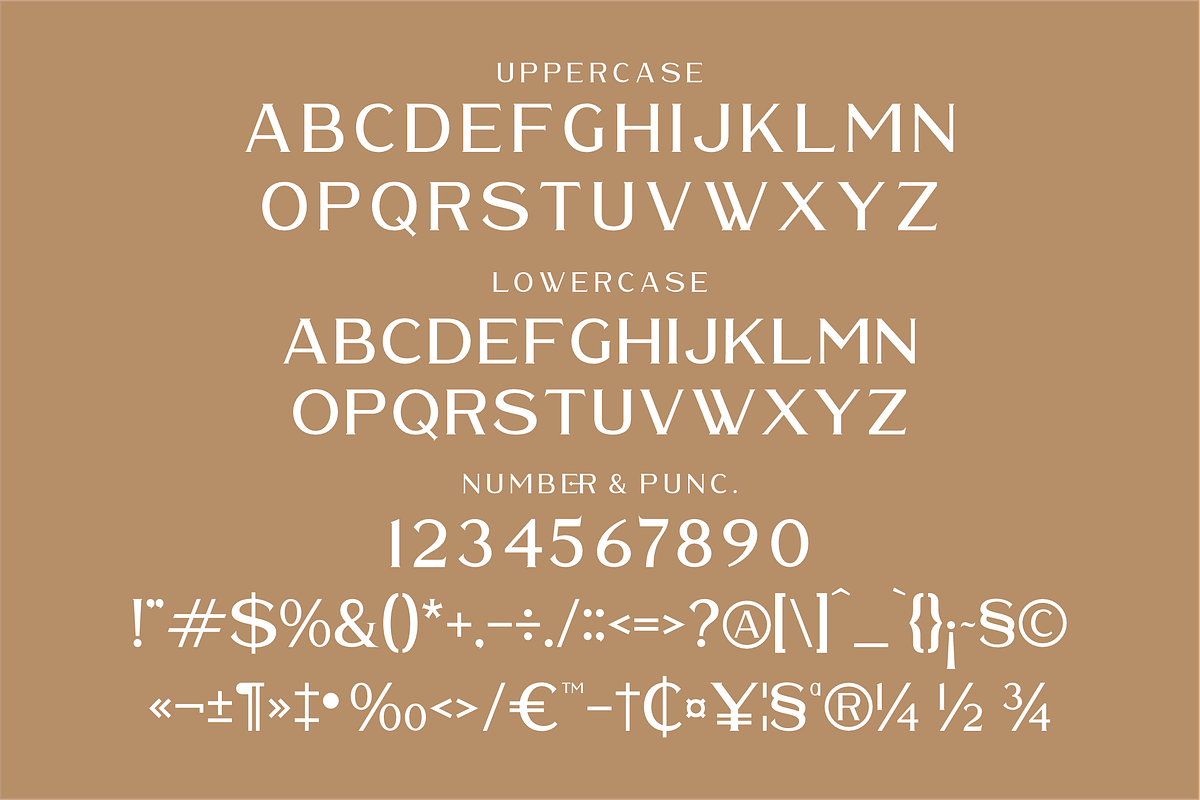 Waldecry A Modern Serif Font, a Serif Font by Storytype Studio (Photo 13 of 15)