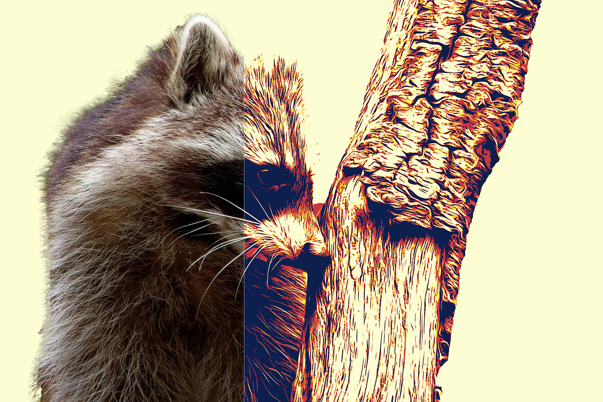 Vector Illustration Photo Effect, a Brushes & More by INTENTFX (Photo 5 of 31)