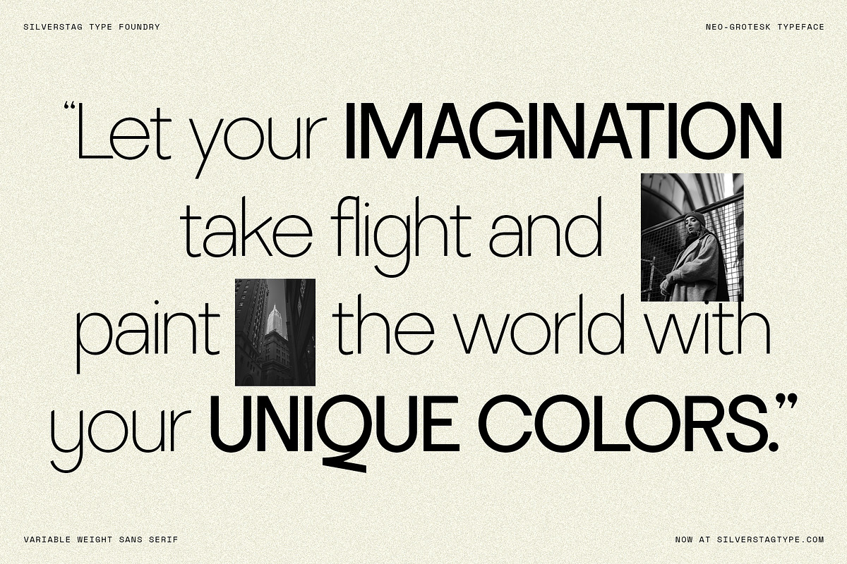 SLTF La Villa - Neo-Grotesk Typeface, a Sans Serif Font by SilverStag Type Foundry (Photo 7 of 20)