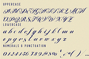 Dramatic Painting - Calligraphy Font, a Script Font by 177Studio (Thumbnail 8 of 8)