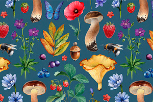 Summer Nature Illustrations Kit