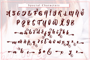 Valentine Dinner // Elegant Script, a Script Font by Aldedesign (Thumbnail 8 of 10)