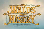 Walds Misery | Fantasy Display Font, a Handwritten Font by gracetype_studio (Thumbnail 2 of 12)